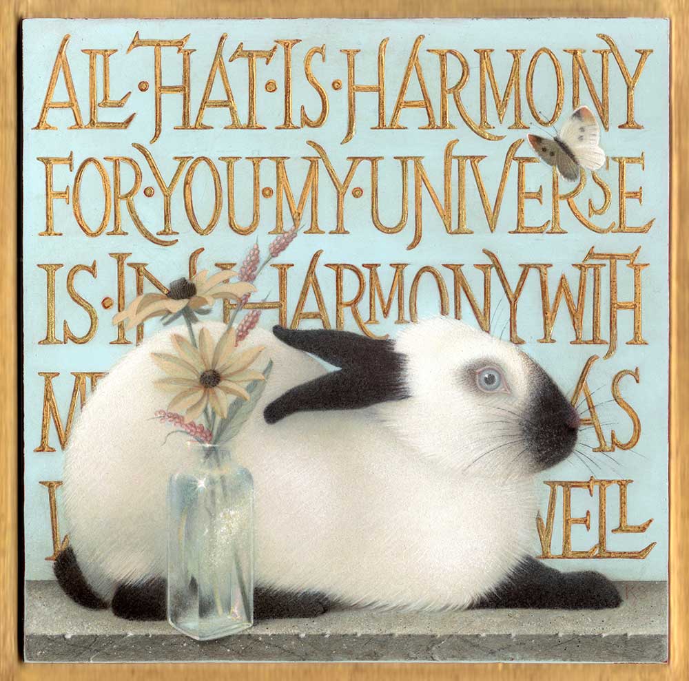 All That is Harmony Rabbit
