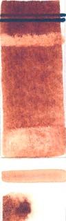 Rublev Watercolour Red Sartorius Earth